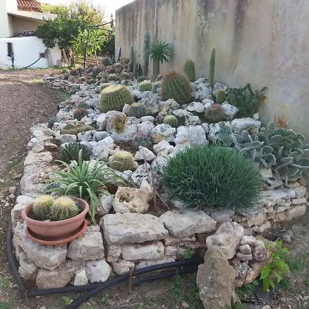 Apartmán Casa Scunchipane